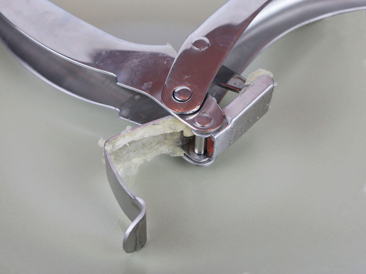 a close up of a garlic clove mashed into the screen and hinges of a garlic press