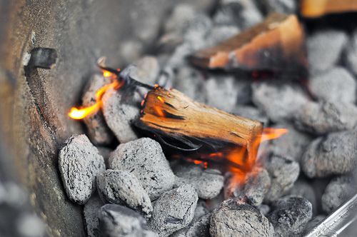 Wood chips burning over gray charcoal
