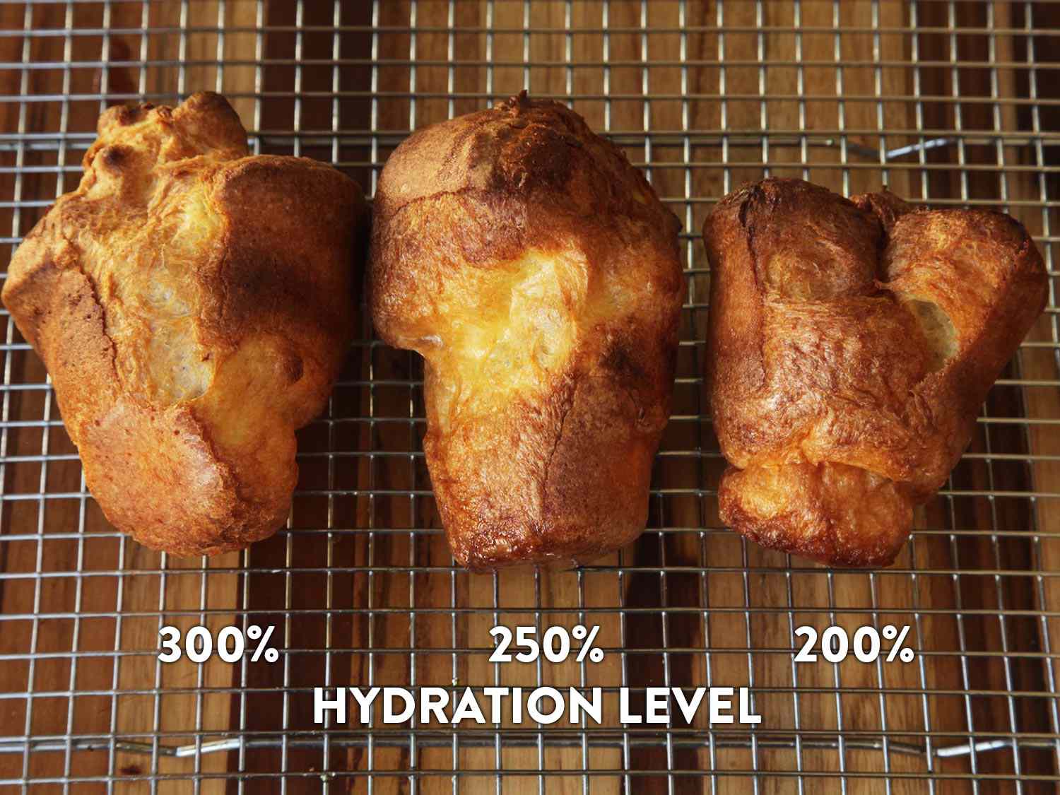 Comparing Yorkshire puddings cooked from batter at 300%, 250%, and 200% hydration batter