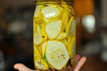 201100919-pickled-squash-primary.jpg