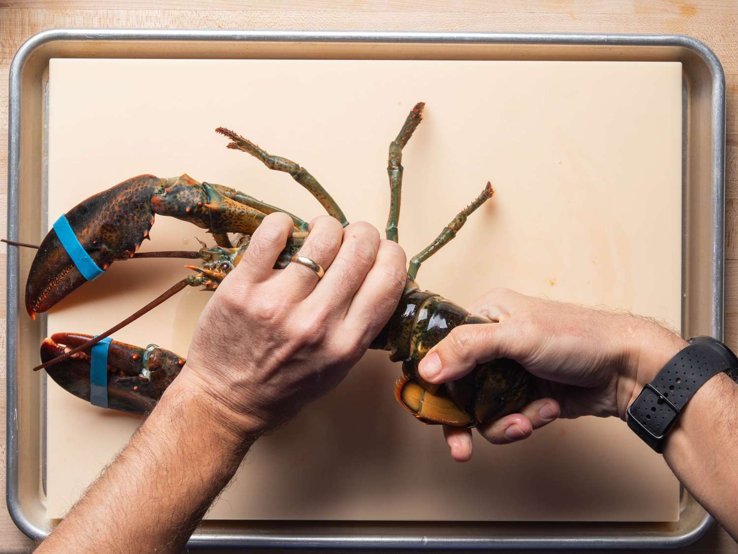 Twisting the tail off the just-killed lobster.