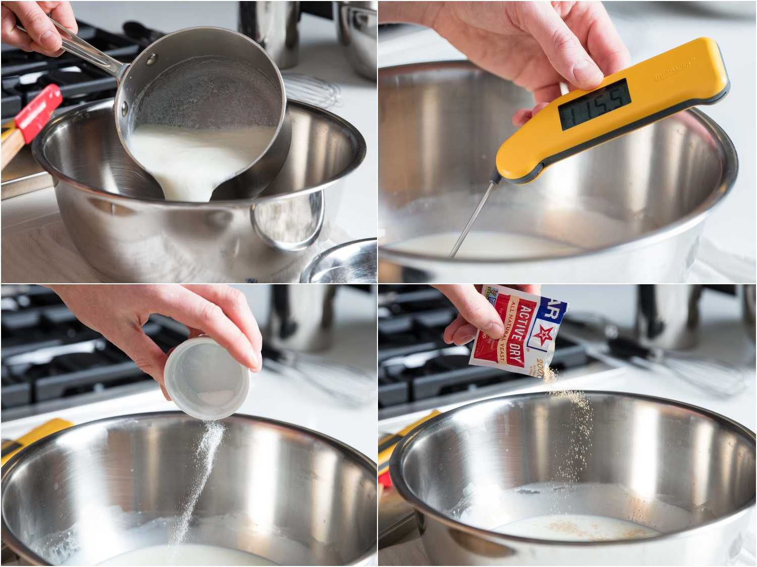 Process shots of cooling scalded milk and adding yeast and sugar for blini batter