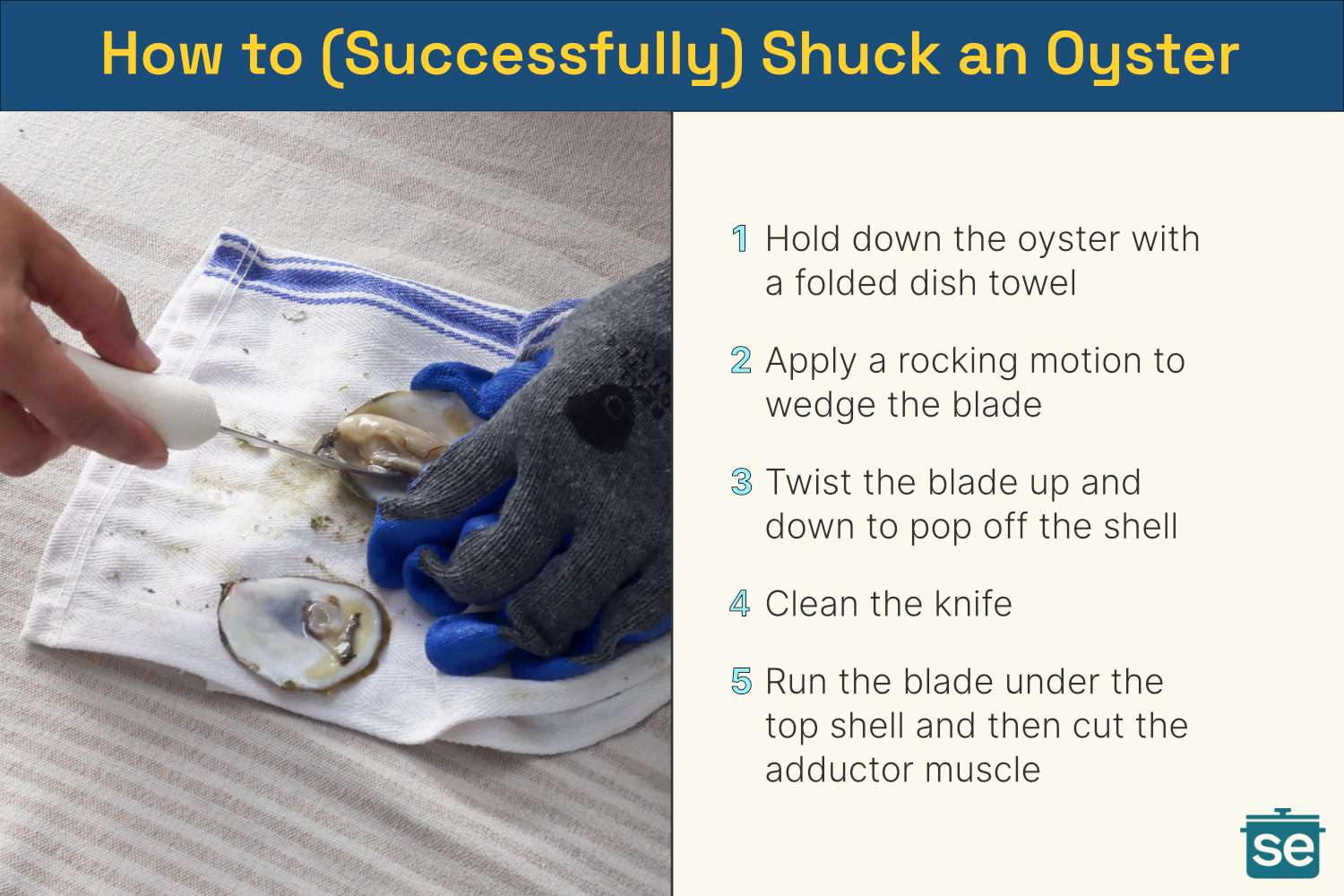 A graphic explaining how to shuck an oyster with a picture of an oyster being shucked on the lefthand side