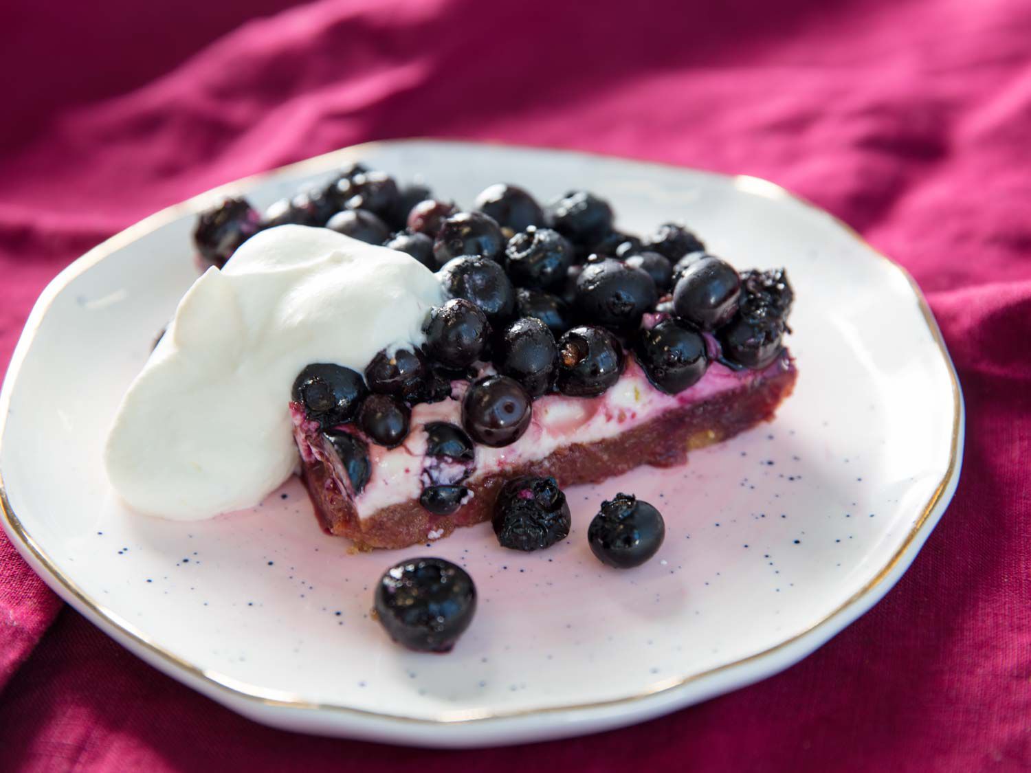 20180726-MHT-broiling-blueberry-cream-cheese-graham-cracker-dessert-slice-closeup-vicky-wasik-9-