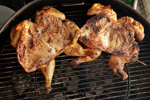 Overhead view of two butterflied and skewered chickens placed on the hot side of a grill, breast-side down. The butterflied side facing the camera is lightly charred.