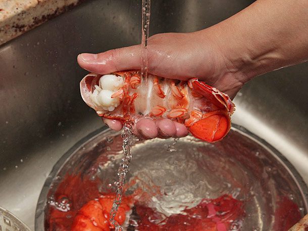 Holding a cooked lobster tail under running water, with a bowl of water and other lobster parts below it