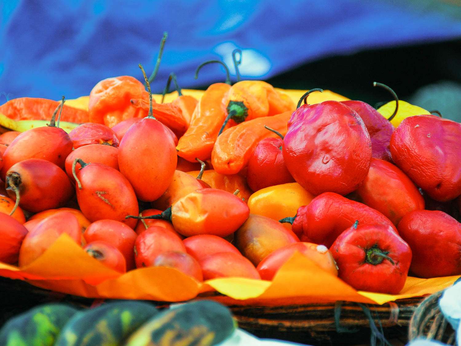 A bowl of colorful Peruvian chiles.