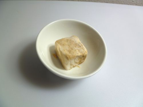 20101102 yeast fresh.JPG