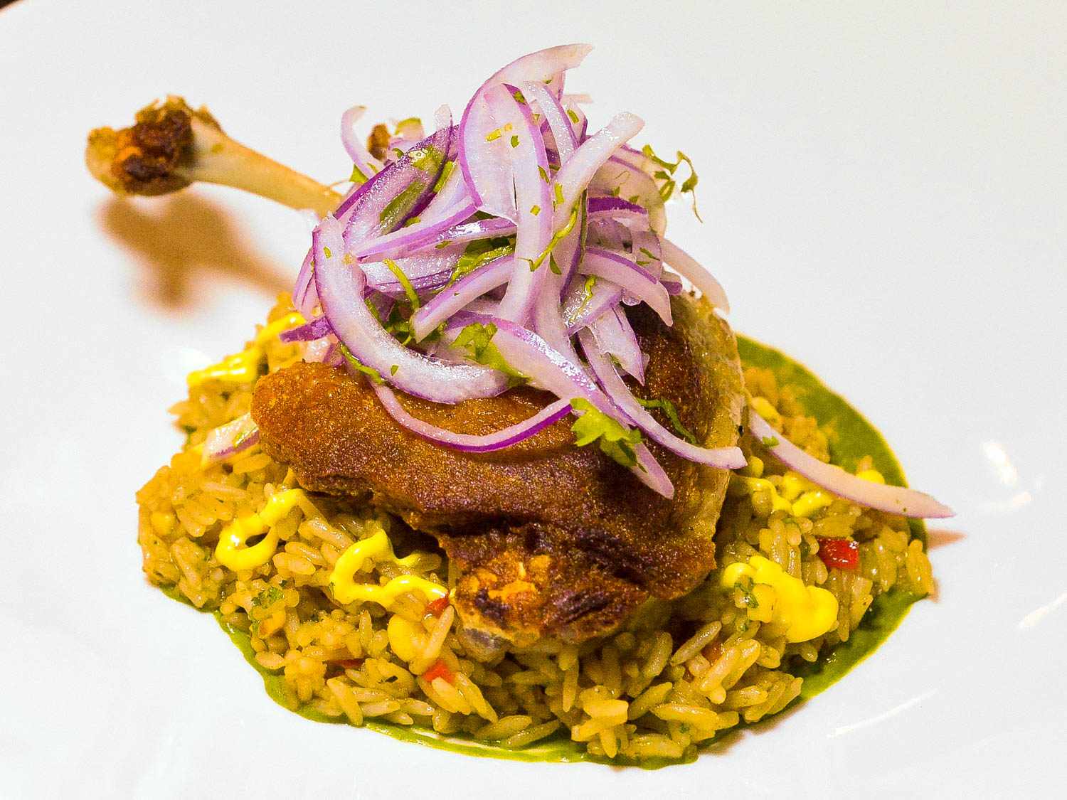 Arroz con pato on a plate-a duck leg on rice topped with slivered red onion.