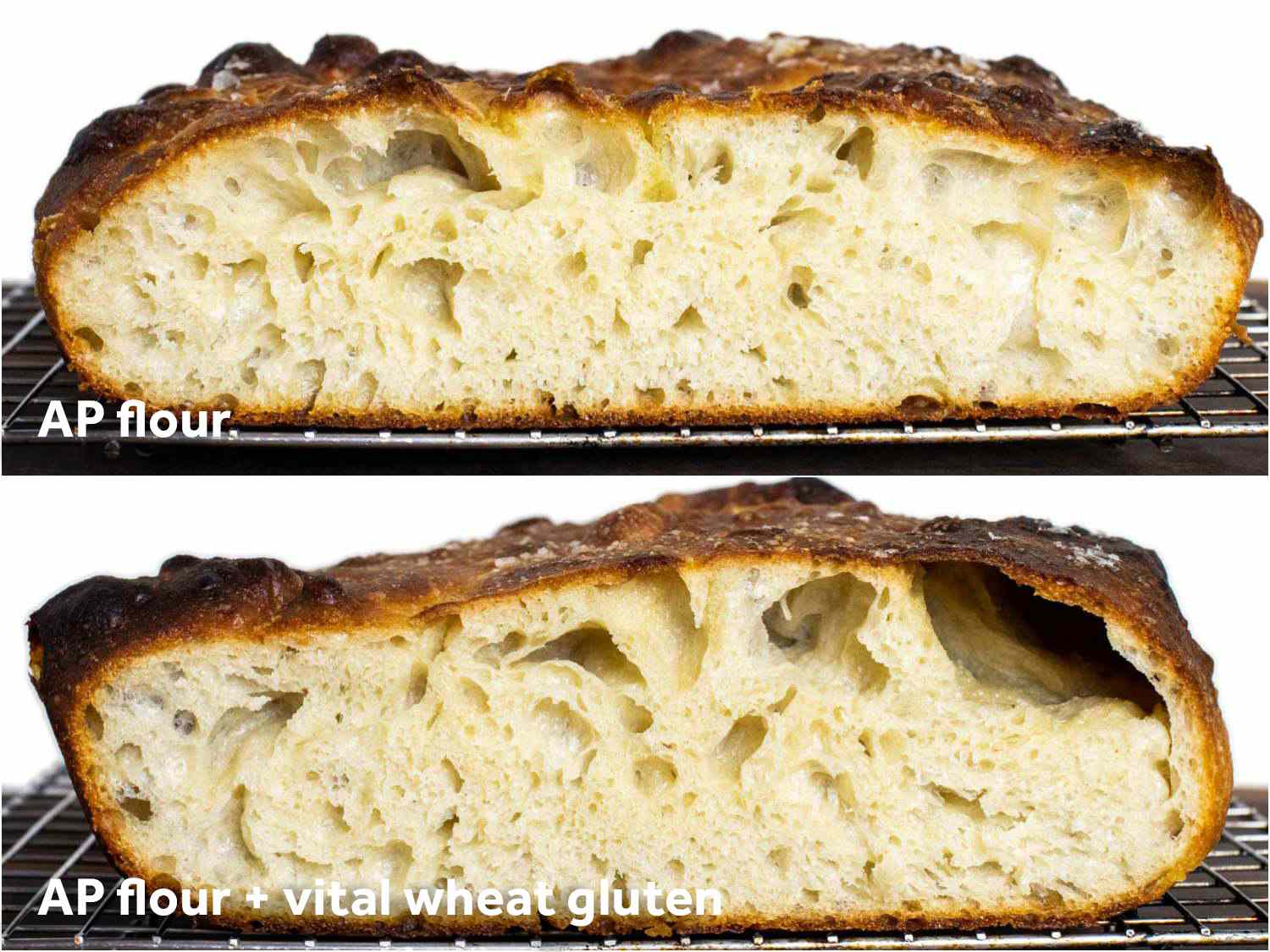 Comparison of focaccia interiors baked using only all-purpose flour vs all-purpose flour + vital wheat gluten.