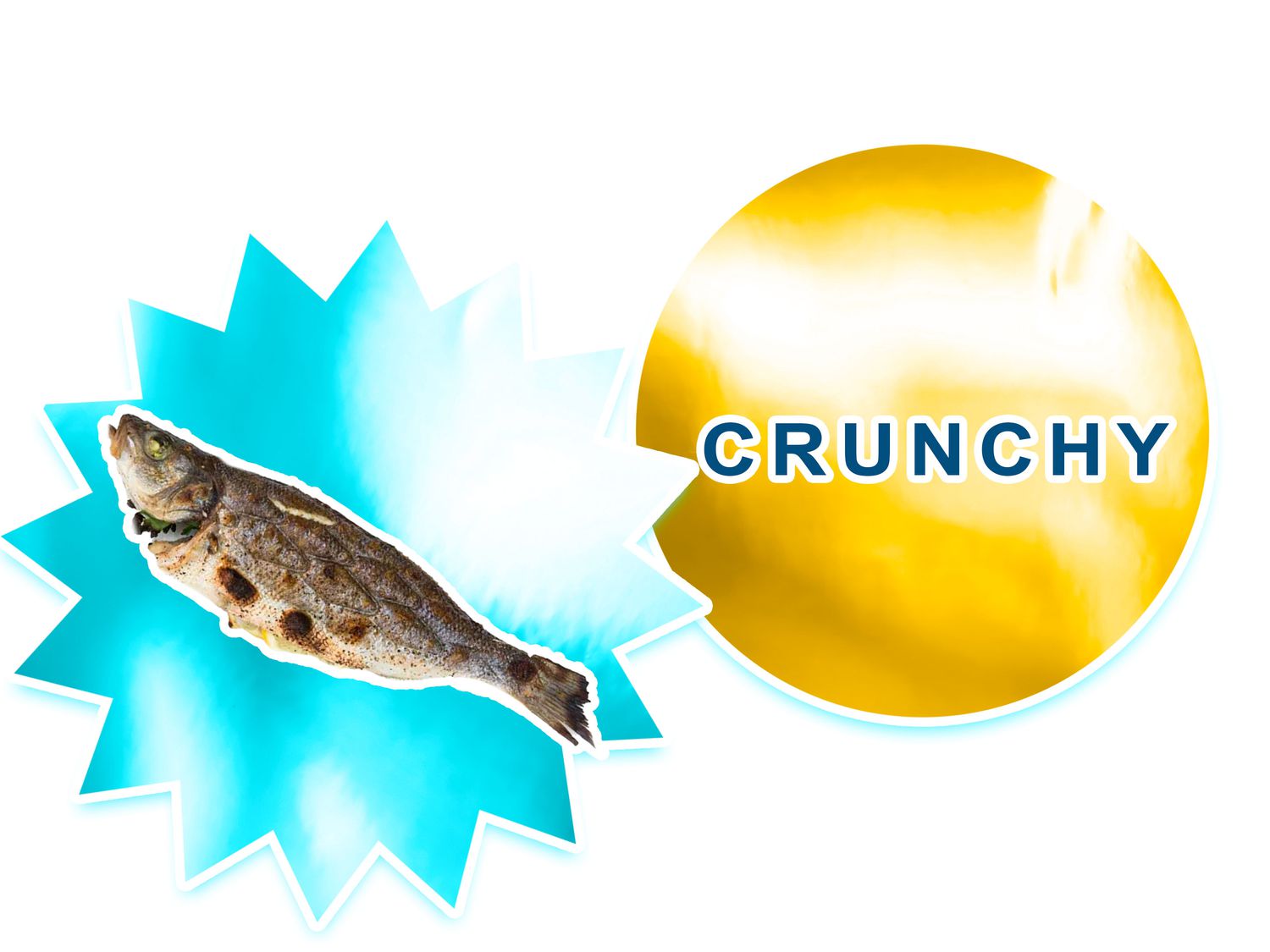 Two sticker graphics