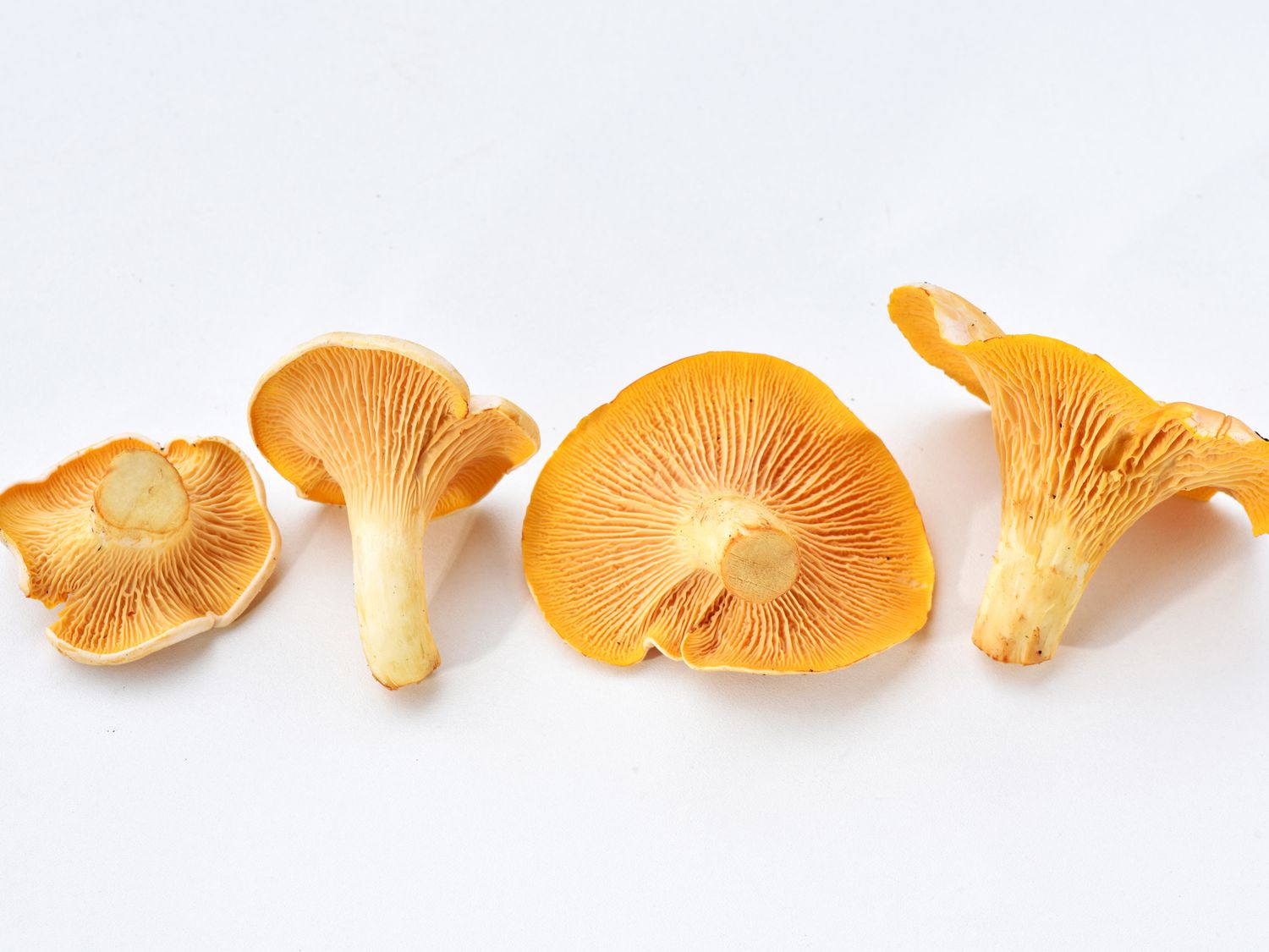 Chantrelles