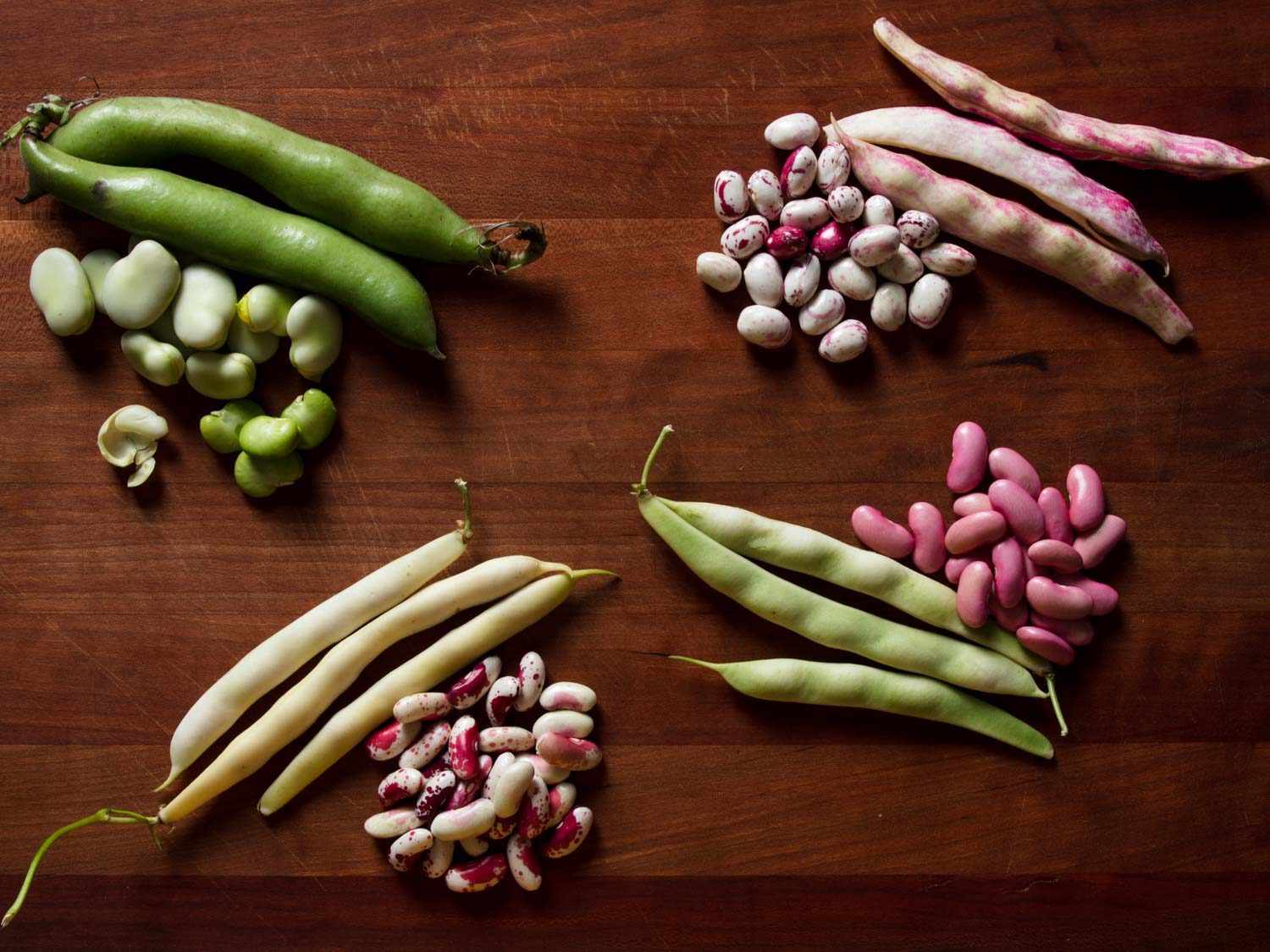 An assortment of fresh shelling beans next to their green and purple pods.