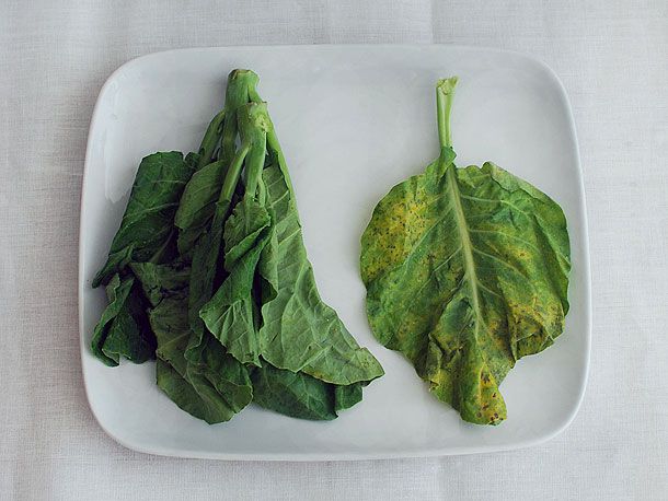 A plate with two piles of fresh Chinese broccoli greens. On the right, the greens have yellow and dark spots that should be avoided.