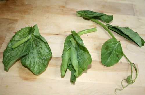 snow pea stalks