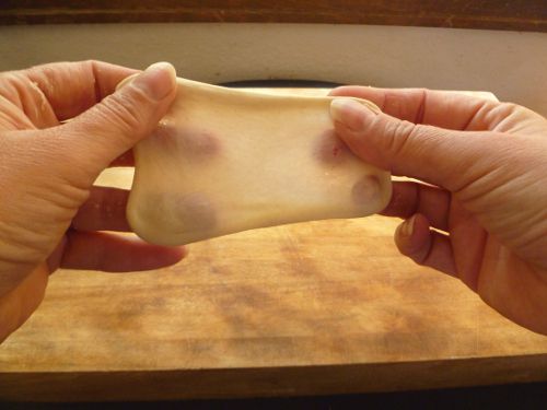 20100923 windowpane 2.JPG