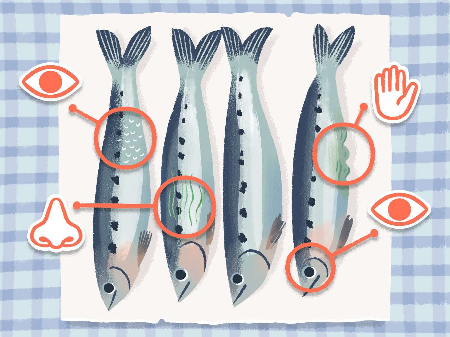 Illustration of four sardines on a work surface, with various icons (eyes, nose, and hand) indicating where multisensory cues would assist with a tutorial on cleaning sardines