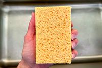 A dishwashing sponge from Public Goods