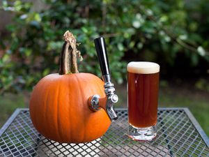 A pint of home-brewed pumpkin ale