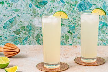 Side view of two palomas 