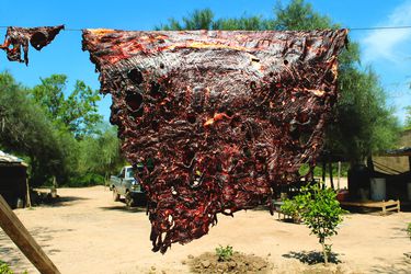 Beef 'pulpa' being hung to dry under intense summer sun 