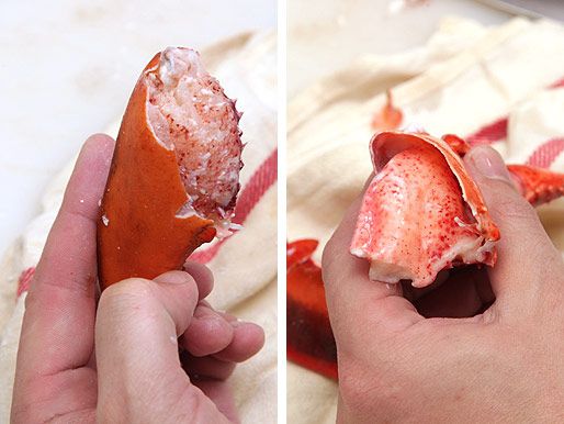 20130527-lobster-hard-versus-soft3.jpg