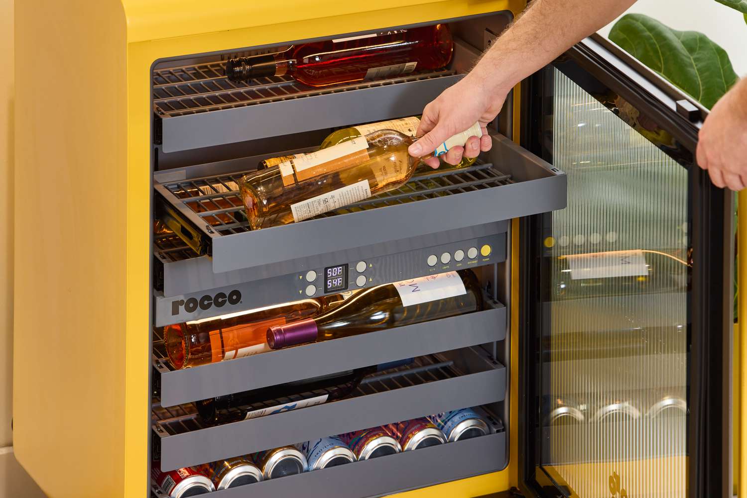 Person putting wine into Rocco The Super Smart Fridge
