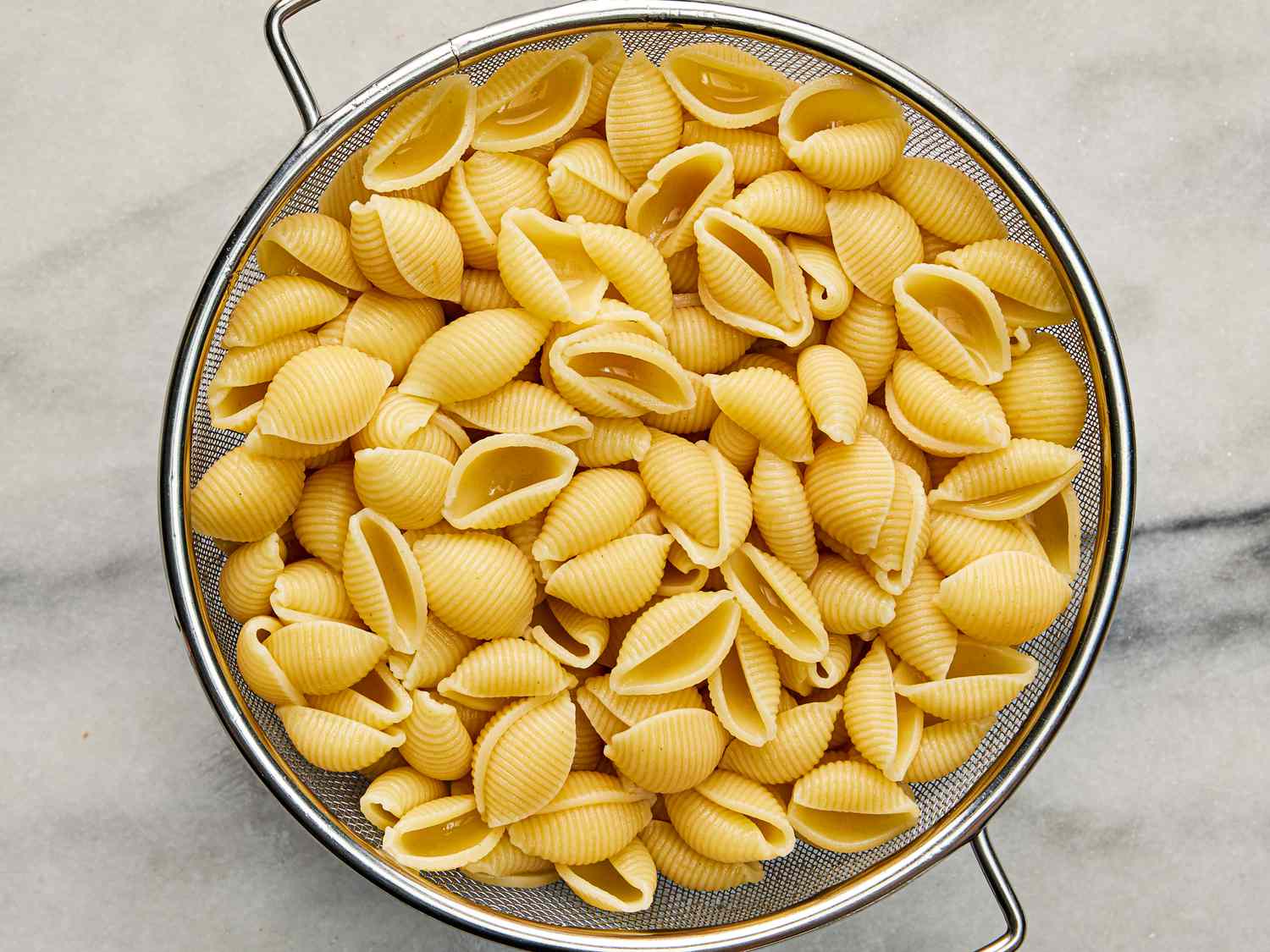 Overhead view of shells