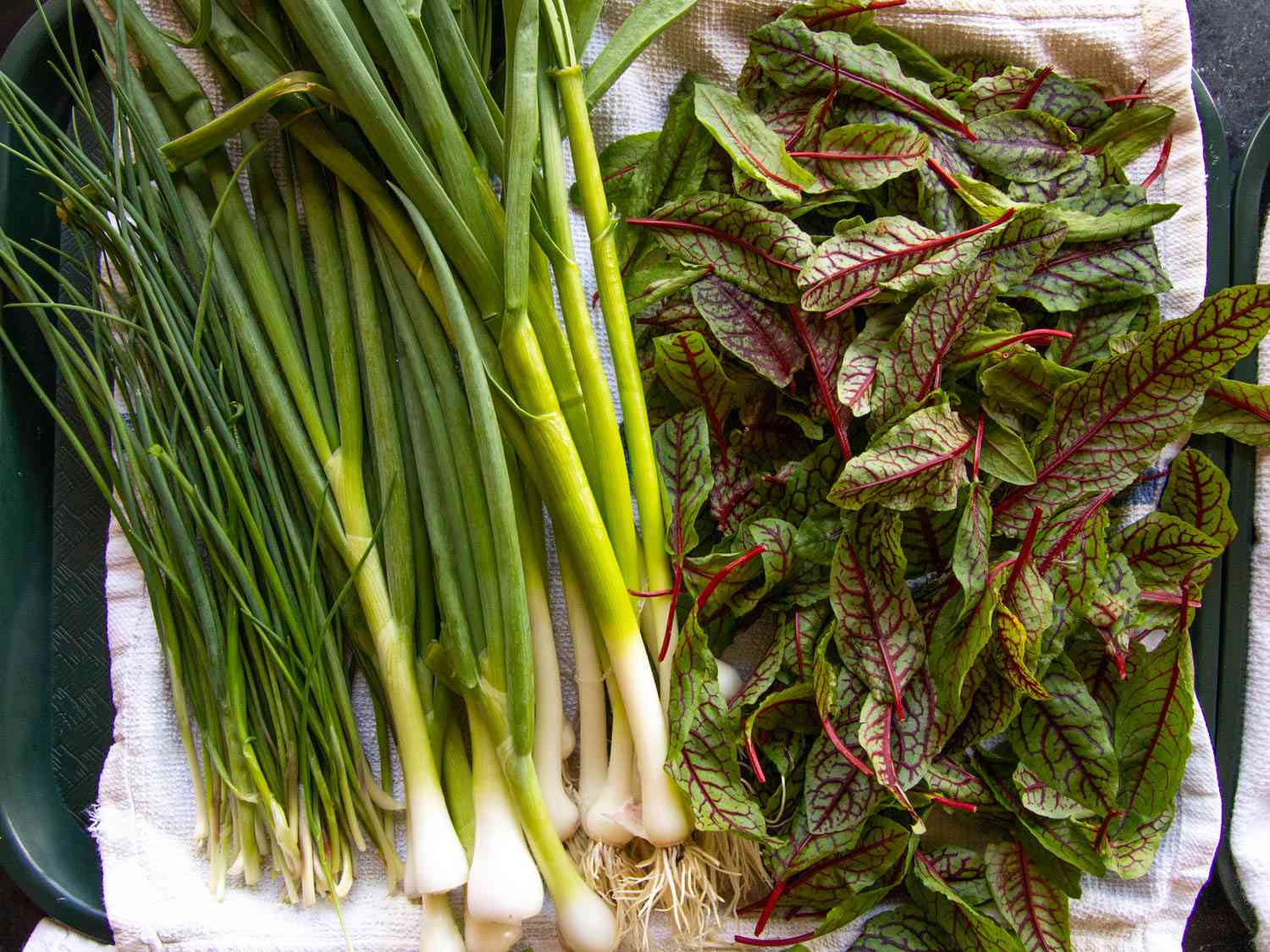 Overhead of red vein sorrel and spring alliums drying on a tray with a kitchen towel.