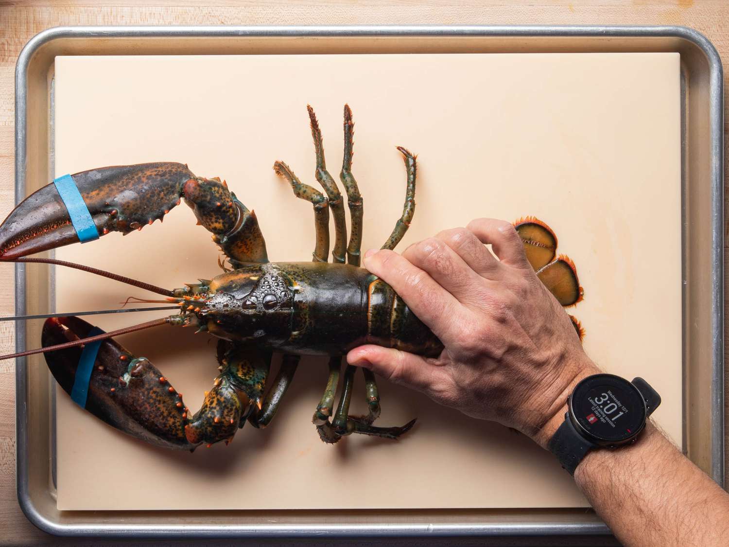 Splitting a lobster's head open with a knife.
