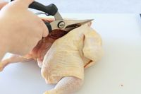 Using poultry shears to remove a chicken's backbone.