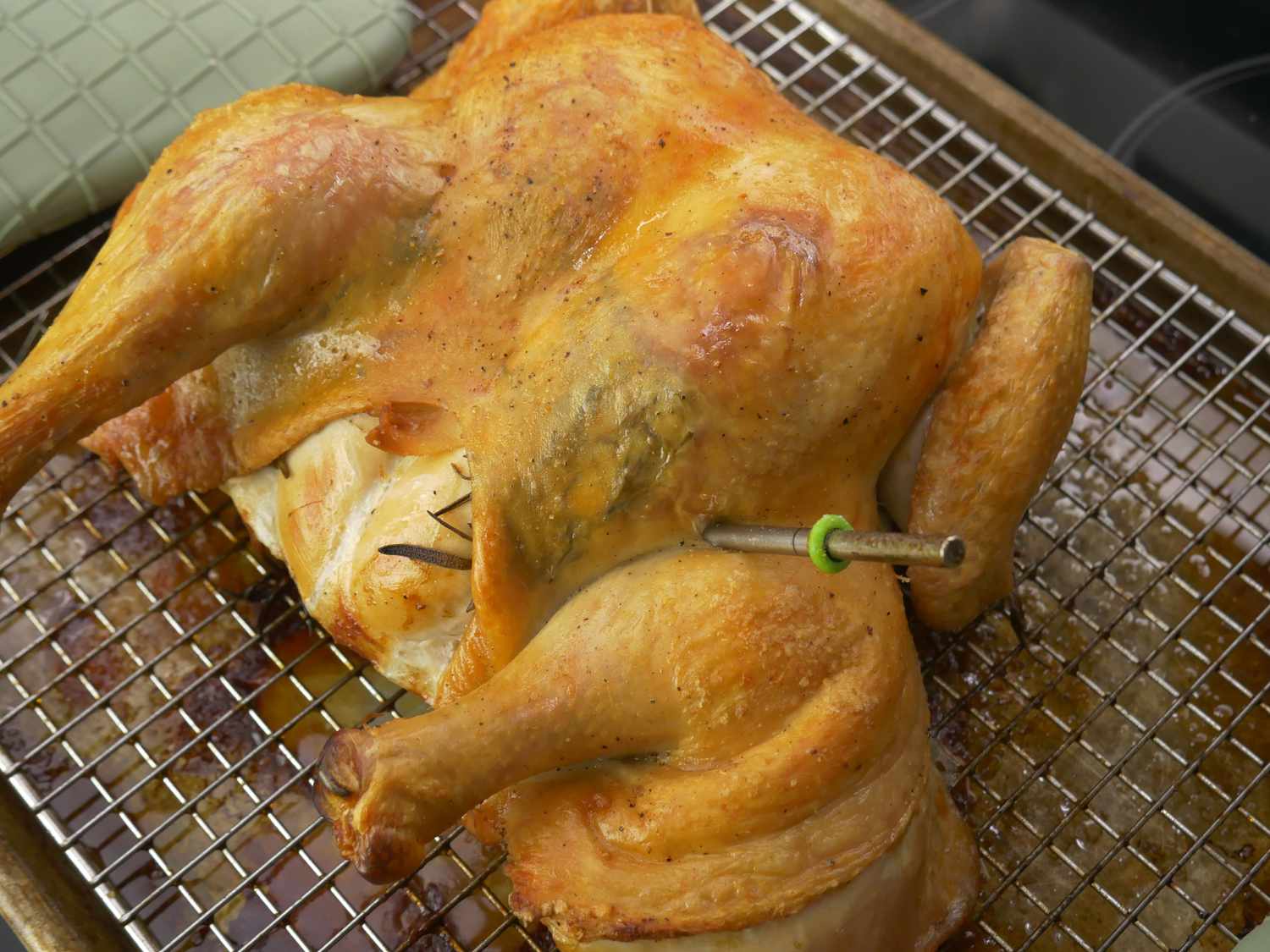 rfx probe in a roast chicken