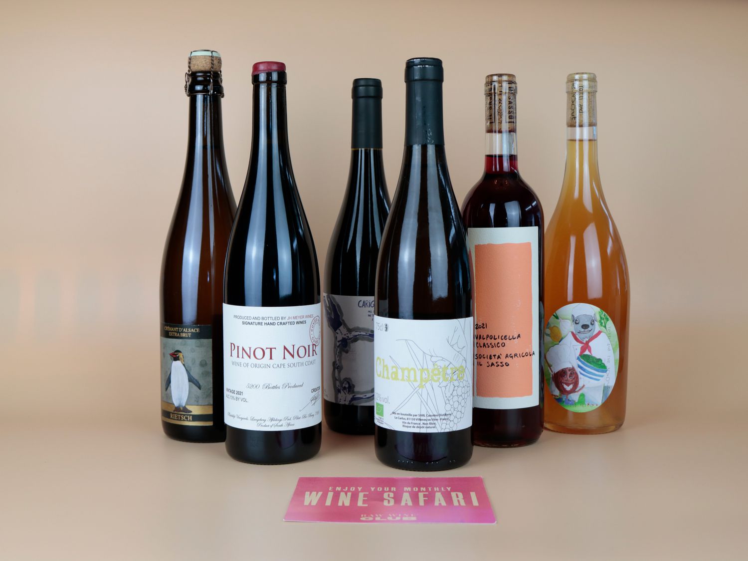 raw wine selection of bottles with pamphlet on taupe backdrop