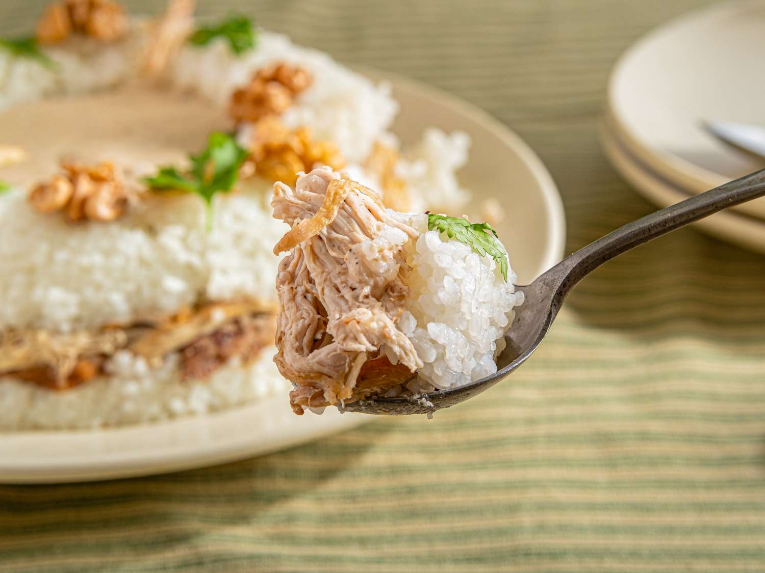A fork holding rice shredded chicken and garnishes in front of a plate of food
