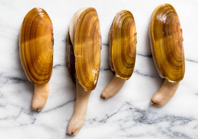 Four Pacific razor clams in their shells on a marble slab.