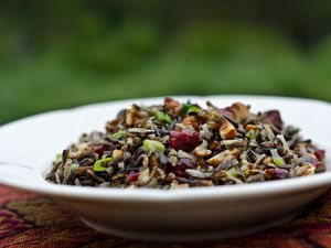 2011-10-10-wild-rice-salad-carnberries-pecans.jpg