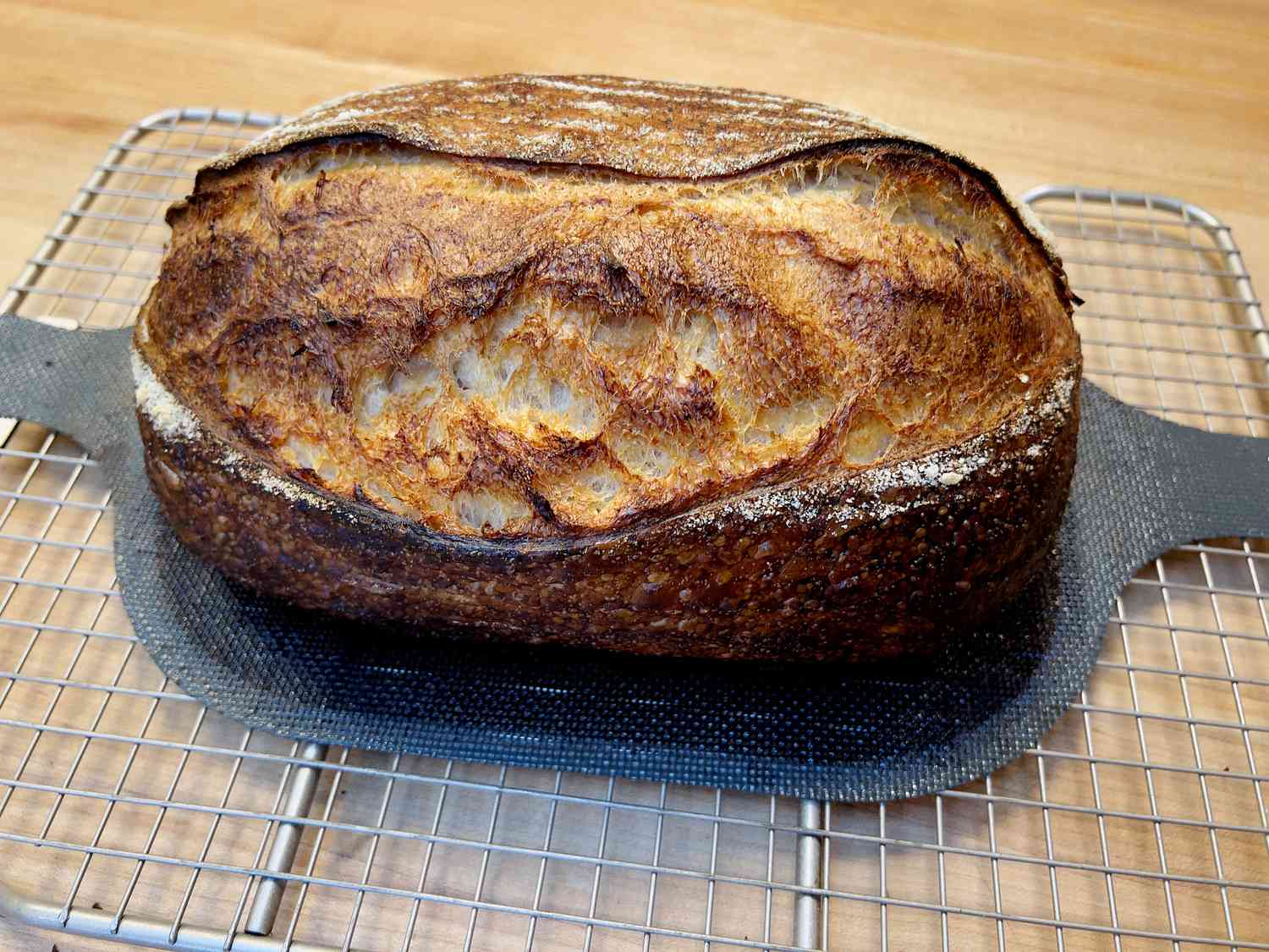 a baked loaf of bread on a bread sling on a wire cooling rack