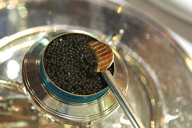 An open tin of caviar in a silver server with a decorative spoon.