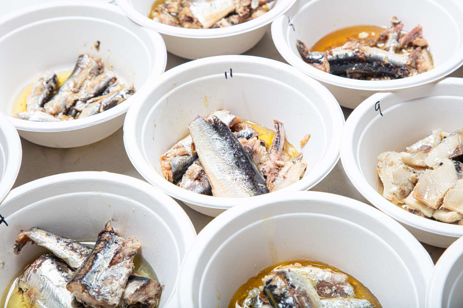 Multiple white bowls filled with assorted sardines presented for a tasting event