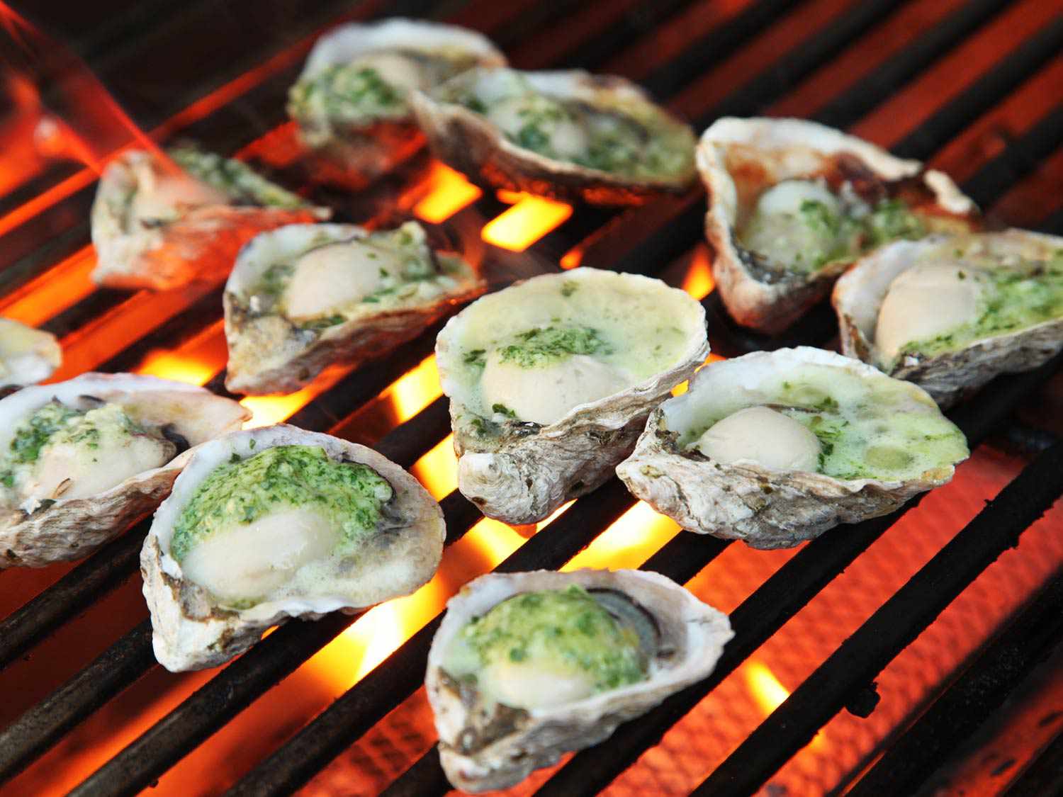 Oysters on the half shell topped with compound butter on a hot grill.