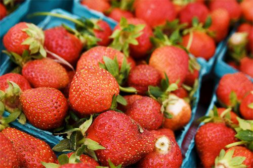 201000506-strawberries-500.jpg
