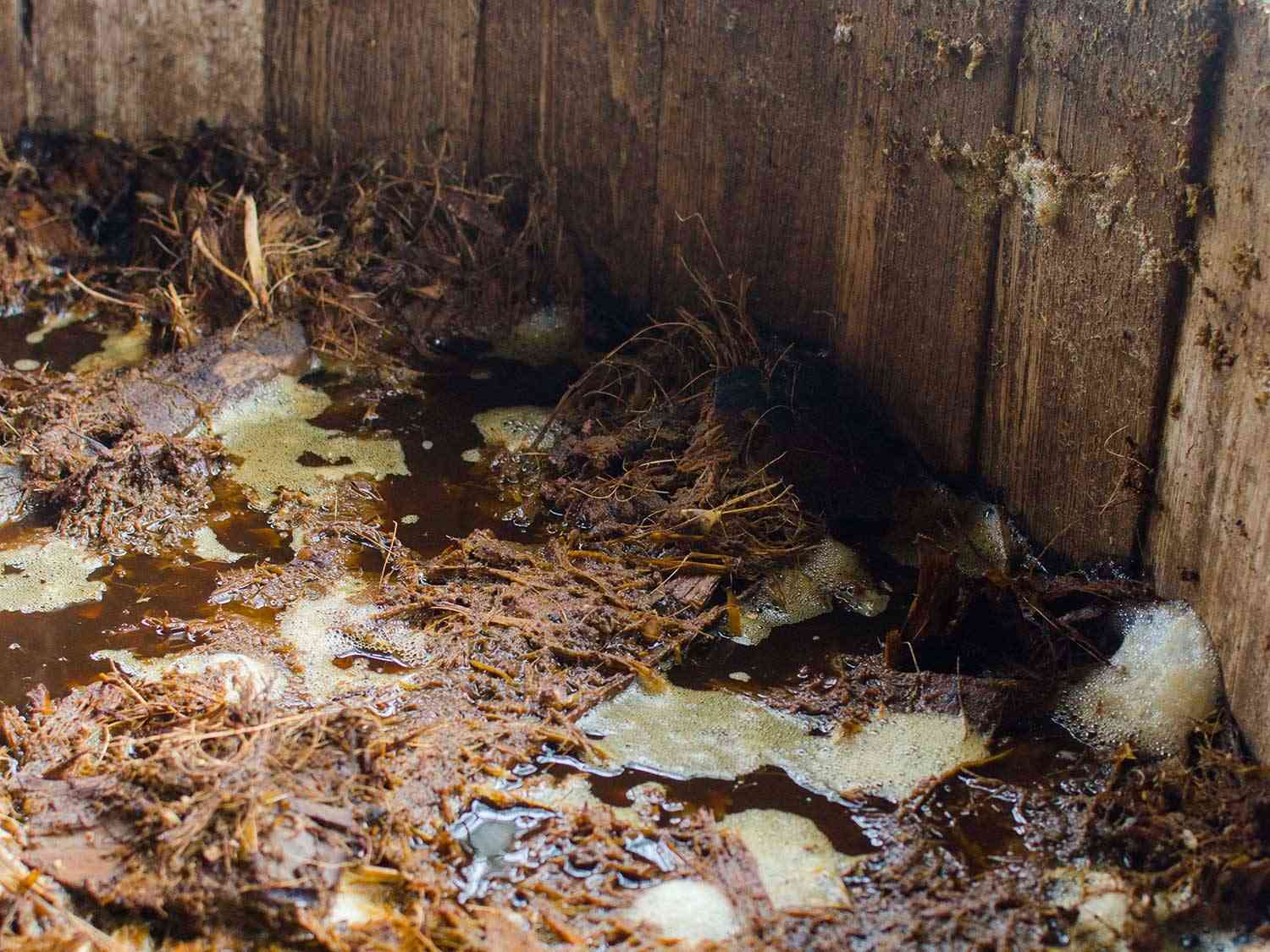 Agave fermenting in an open-air barrel for mezcal.