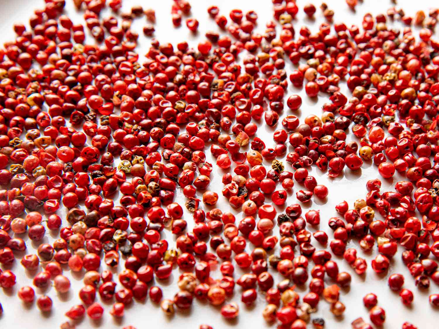 Side view of pink pepperscorns