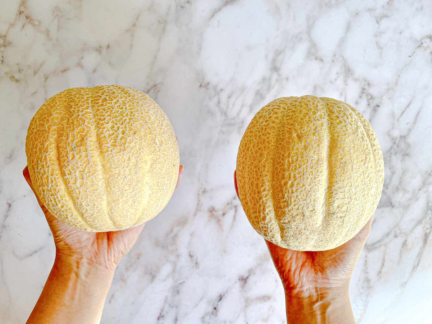 Overhead view of melons