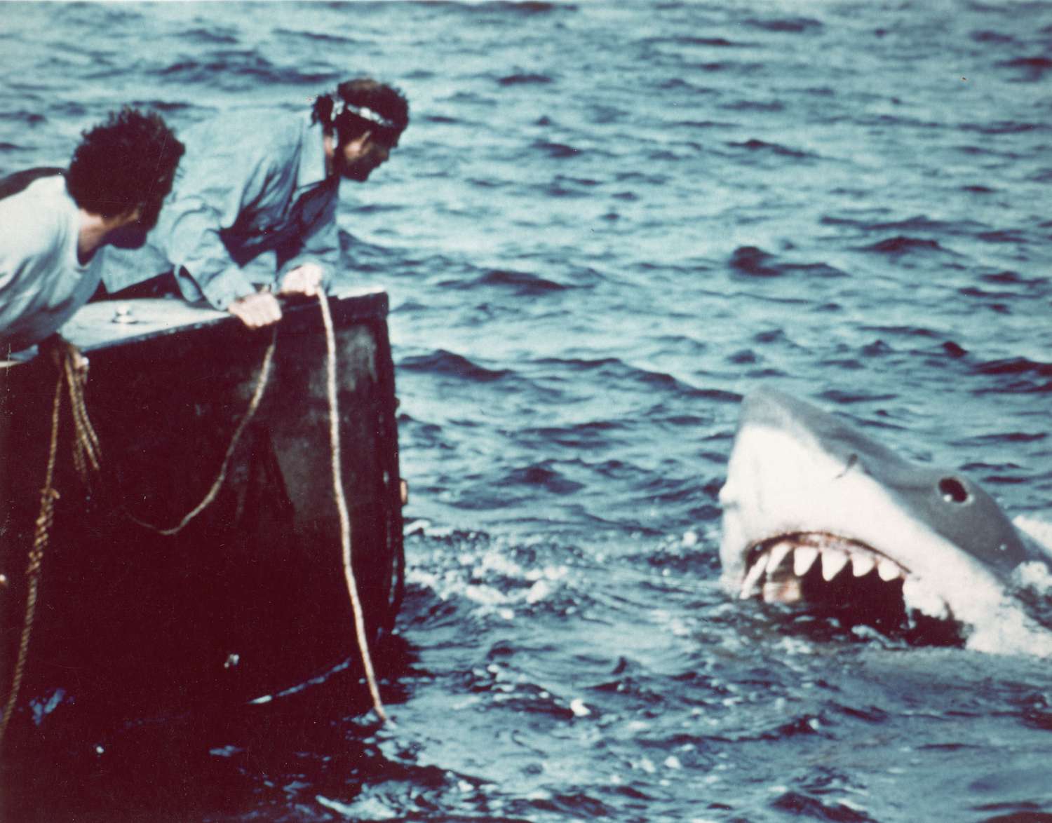 Scene from Jaws