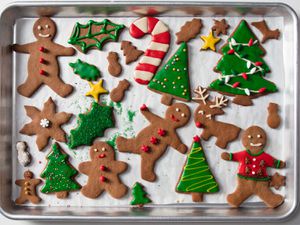 20181126-gingerbread-cookies-vicky-wasik-47