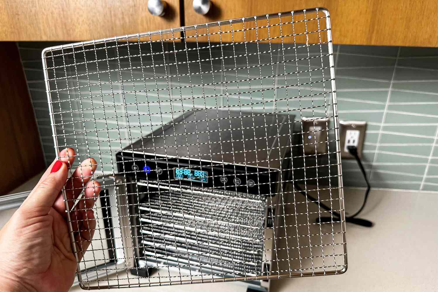 A person holding a stainless steel food dehydrator tray