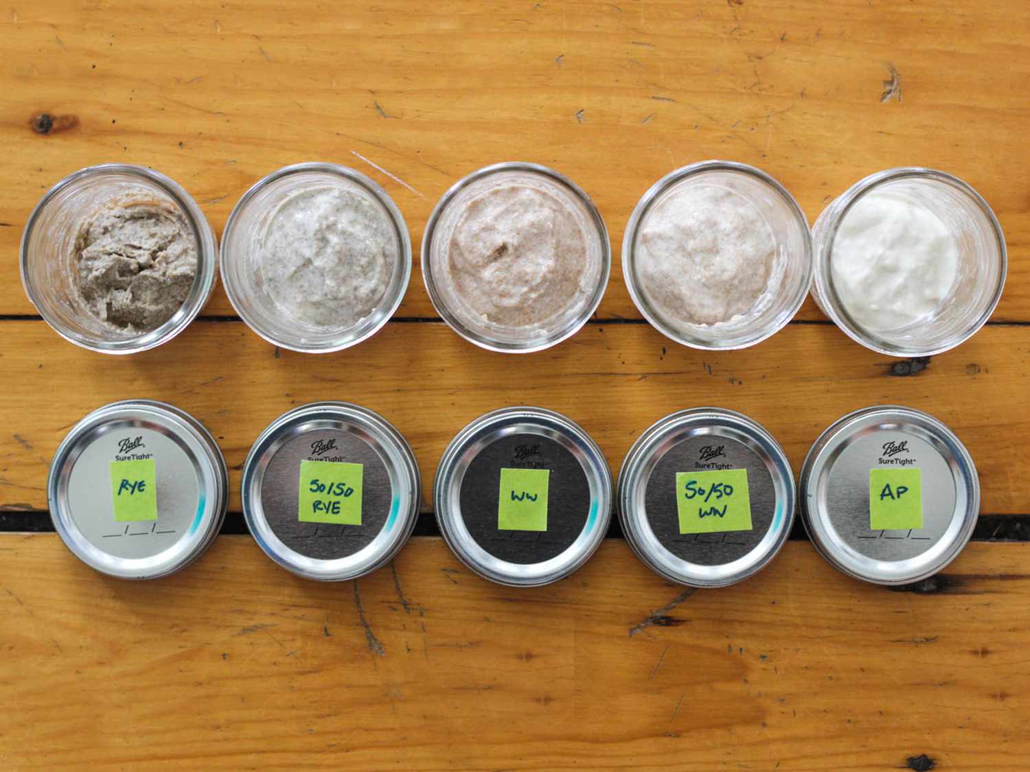 Sourdough starter tests day 1: rye, 50/50 rye, whole wheat, 50/50 whole wheat, and ap flours
