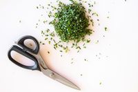 Shun scissors next to a pile of chopped green herbs on a white surface