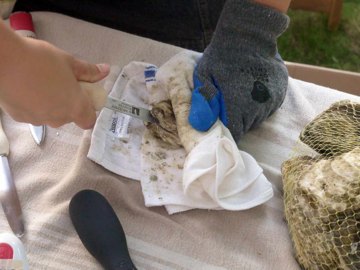 shucking an oyster with a towel on top and using a cut proof glove